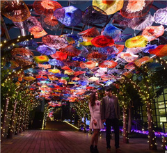 �����������ֹ�����չ������