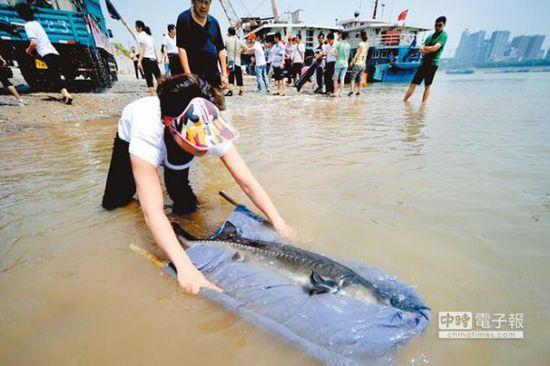 �L��Ұ�������A�\�ўl�R��^���D�������L���˲��η������A�\���DƬ��Դ�W�j