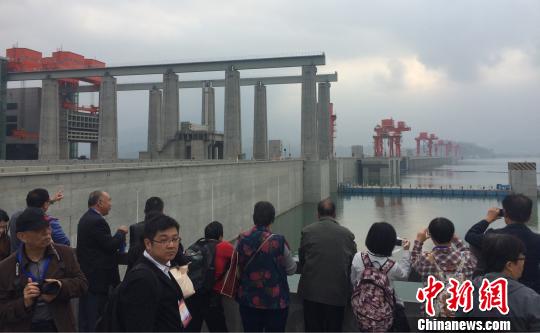 �����{���ǰ��Ӱ���� ���Ա� �z