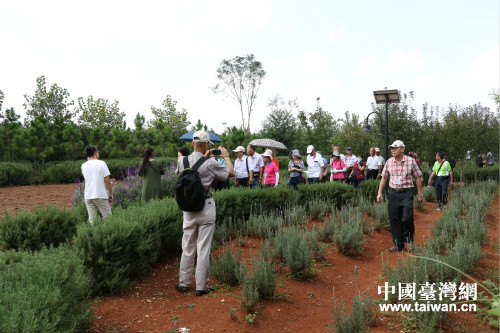 ��ʯ���_���r(n��ng)��(chu��ng)�I(y��)�@���^