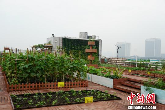 ����r����Ч�������˴�B����������O�� �z