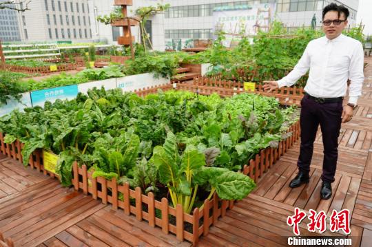 ��W��2011��ׁ������K�o�a���ڴ��g��������r���Ŀ�����O�� �z