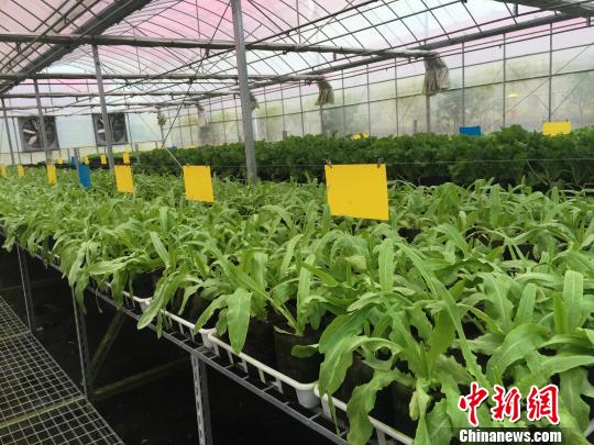 �㽭��(y��u)�����_�����500�|���Y�����~�ȴل�(chu��ng)�°l(f��)չ