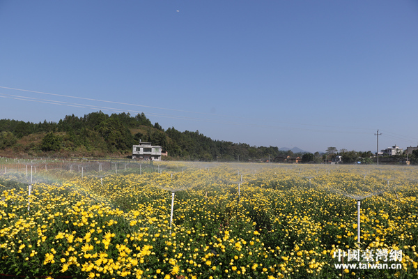 ��ؚ܇�g�����ܶ�ؚ�����ڼ��T�ھ͘I(y��)�����Ї��_���W � �z��