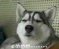 �_(t��i)��ˇ�˸�ꑡ��Խ𡱲����r ���uӰҕ�������뷲�g��