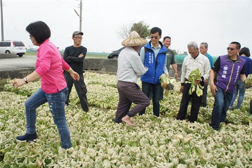 �_���r�a�l�������²˃r���P ���M�h���Gɫ���������r���ܺ����C