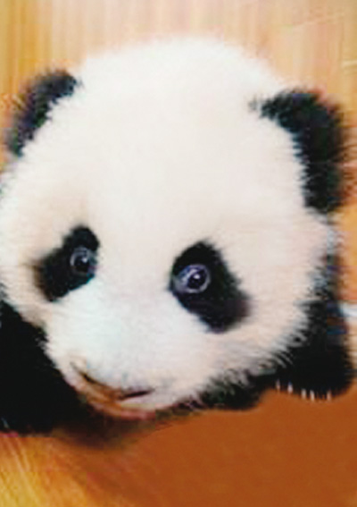 �_(t��i)�����͡�ʧ�Լ�����ʲô�r(sh��)���f(shu��)��������Ԓ��