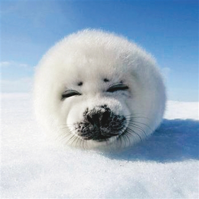 �_(t��i)�����͡�ʧ�Լ�����ʲô�r(sh��)���f(shu��)��������Ԓ��