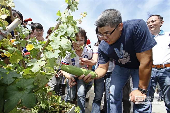 連勝文充分展現(xiàn)平民作風(fēng)。圖為連勝文日前參觀位于錦安市場(chǎng)的市民屋頂農(nóng)園,彎腰看作物 連勝文充分展現(xiàn)平民作風(fēng)。圖為連勝文日前參觀位于錦安市場(chǎng)的市民屋頂農(nóng)園,彎腰看作物