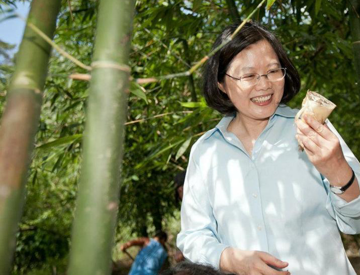 民進黨主席蔡英文 民進黨主席蔡英文