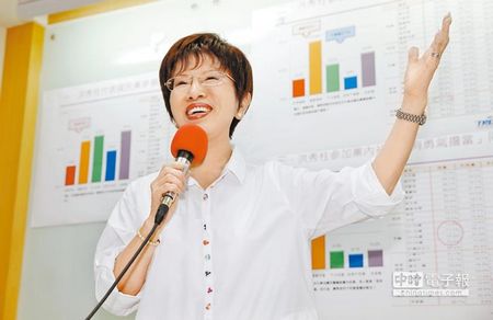 國民黨初選事務洪秀柱:馬英九最好別介入