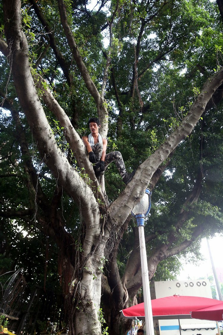 "����"�������y������ʿ���·�^"������" Ҏ��W��