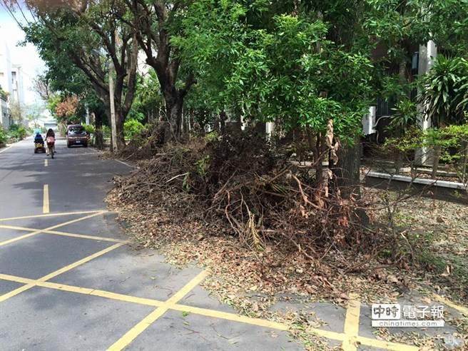 遭前任痛批登革熱防疫不作為 賴清德道歉:虛心檢討 遭前任痛批登革熱防疫不作為 賴清德道歉:虛心檢討
