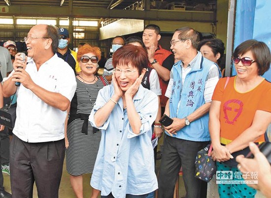 洪秀柱談民意代表席次過(guò)半危機(jī):我來(lái)當(dāng)領(lǐng)頭雁