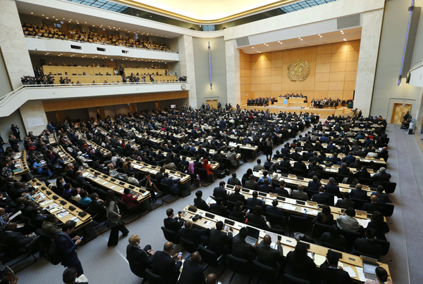 �_ý�w�˔���:�o"�Ŷ����R" �_���^�ղ���WHA��Ո��