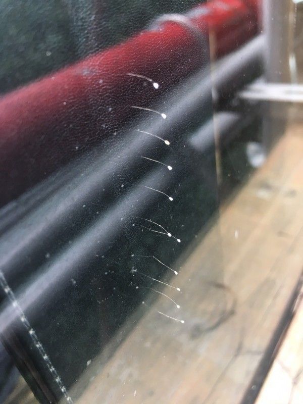 �_(t��i)�������ΌW(xu��):�Օ��в�Ӣ���I(l��ng)��(d��o)�� �����Q(ch��ng)�RӢ������