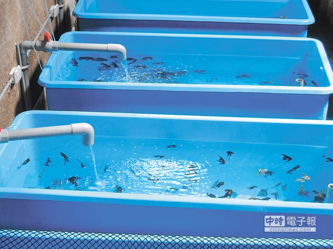 �_܊܊Ş�а����J���`�s��5�|�J���ֻ�Q1���~�����DƬ��Դ���_�����Еr��ӈ󡷣�