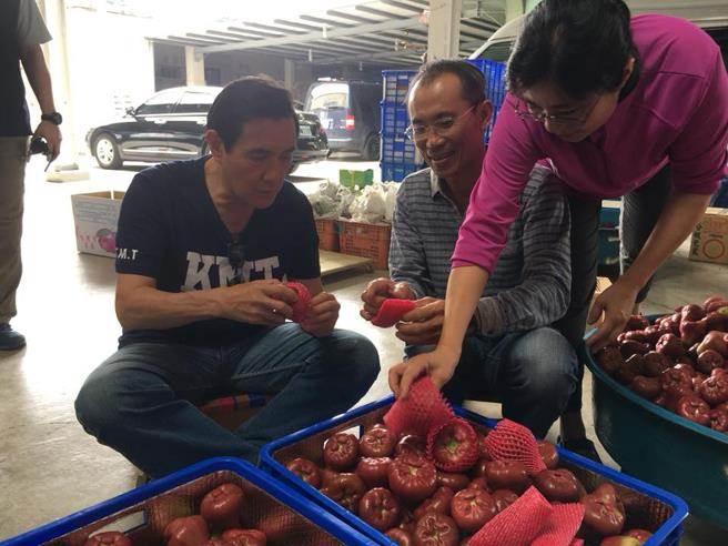 馬英九再游花蓮 網友期待他與周美青“合體” 馬英九再游花蓮 網友期待他與周美青“合體”