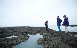 臺網友扒蔡英文舊照痛批“觀塘案”:超越時空的打臉