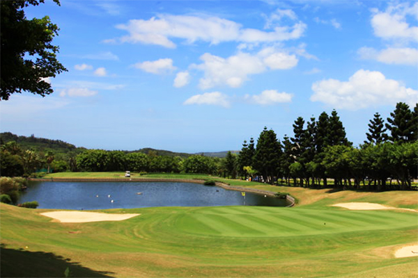 �_���ߠ������