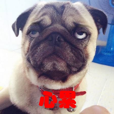 �_���������[����ӭ�����D(zhu��n)��� �̮��֞顰ȥ�С��̉����pһ��