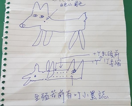 �������@��3�c(di��n)���L��D ����30����һع���