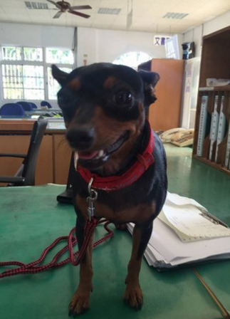 �������@��3�c(di��n)���L��D ����30����һع���