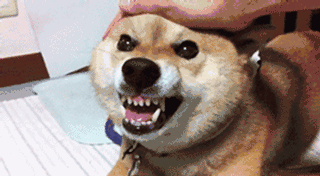 ���M�h���p��֧���ʴ���P���B�����΢�ı��϶�������