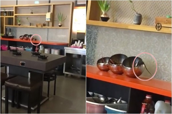 ������偵�����y�Z��̽�^���ɳ���u�����DƬ��Դ��Ę�V�W(w��ng)��