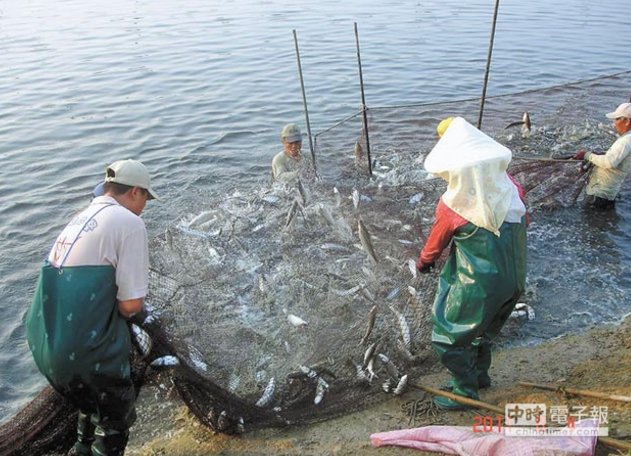 �ɰ����g��������_(t��i)��ˮ�����N��� ���r(n��ng)��������Ӣ���桱