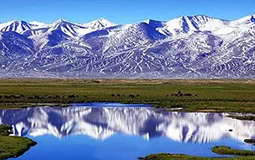 52̎�Ї������缉�z�a��ȫ���