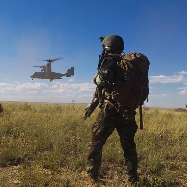 �_��������ǲ�ɲ첿꠸���Ӗ��