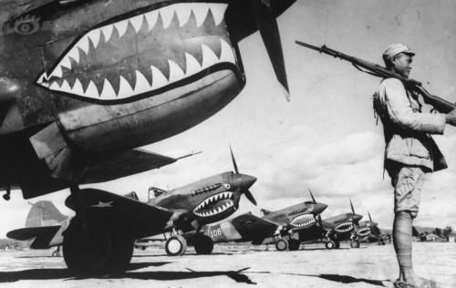 �_܊���o������� �����w���Ϳ�b��C�ع�(�D)