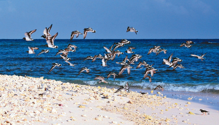 �_����Ѳ꠆T�Ĕz̫ƽ�u�����߼t �W�ѸЇ@������ƻ�