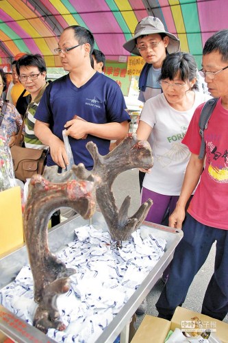 馬英九錯誤解讀鹿茸另類營銷帶來臺灣鹿茸好生意