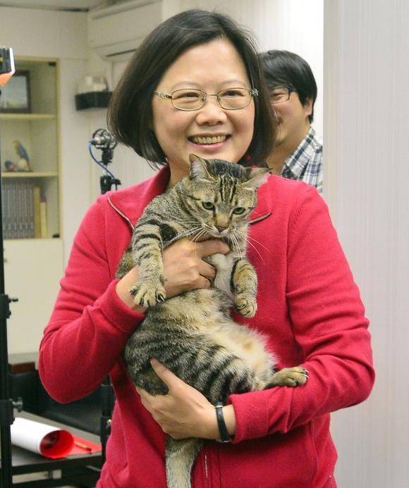 ��Ӣ���Y����