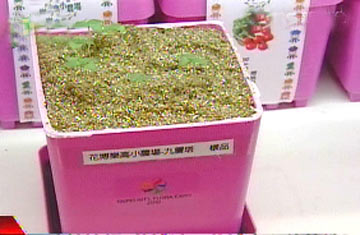 �����̵���ļo��Ʒ�V����ϲ�����DƬ��Դ���_��TVBS�ҕ�_