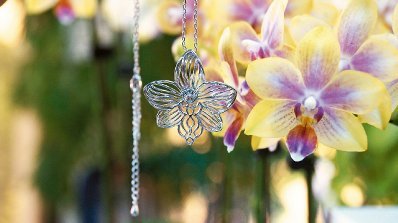 �_(t��i)���ɹ���W(xu��)�Y(ji��)������Ƽ��c�Ą�(chu��ng)�ׄ�(chu��ng)�m����