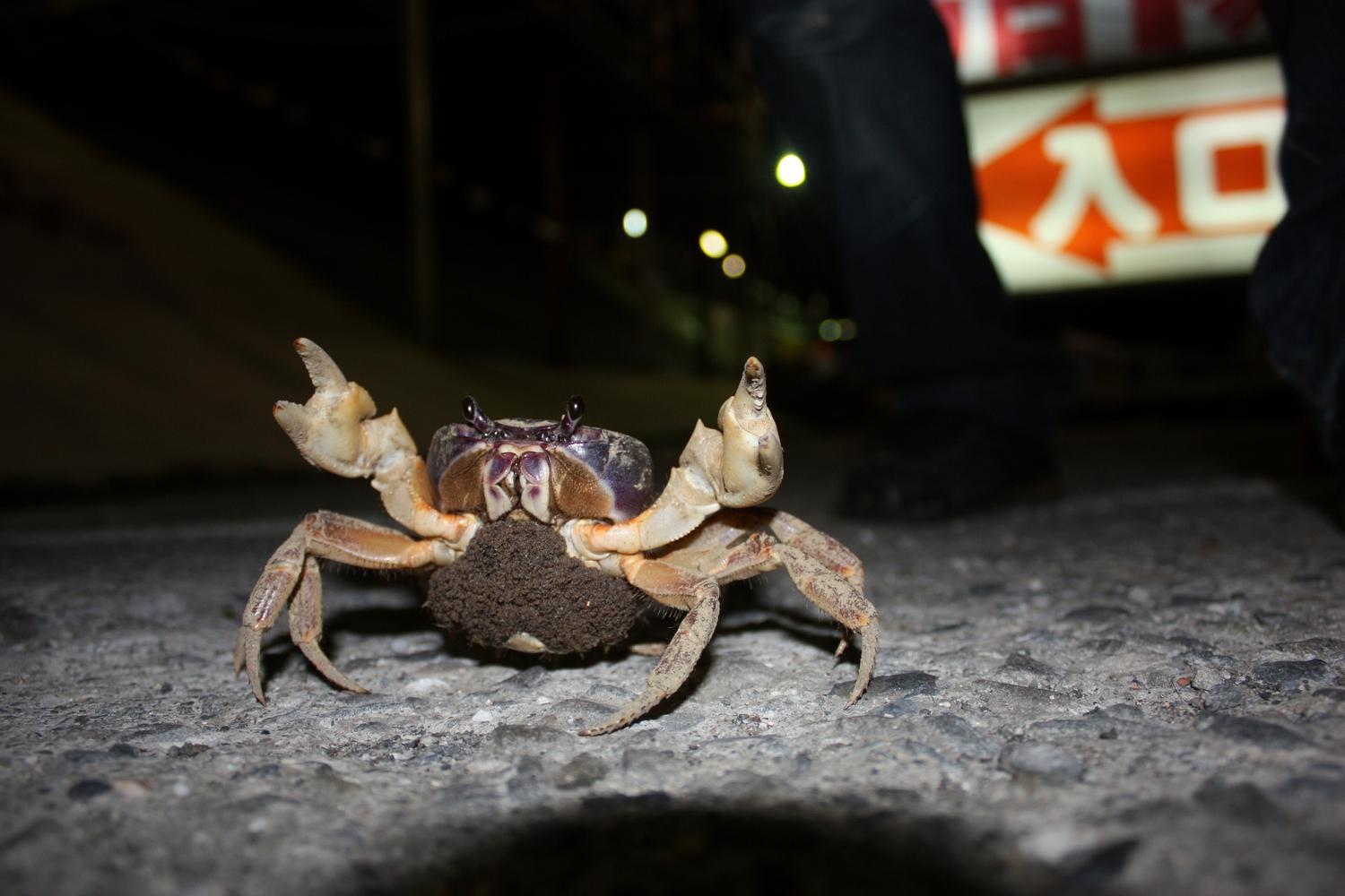 �DƬ��Դ���ЏV���W(w��ng)