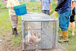 ���{�F�\������͵Ĳ���\���DƬ��Դ���_�����Ї��r��