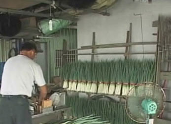 �_�����m�؅^�B�Ձ����´��꣬�����خa�����[�a�����r���ѽ��ܵ��_�����Y�ψDƬ�����DƬ��Դ���_�����������W��