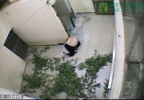 �_��8��31�ձ���ɞĴ���؈�A�A�@�ňA�е���