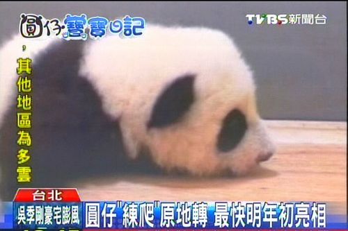 ٛ�_����؈ǧ���W(xu��)����ԭ�ش��D(zhu��n)������������