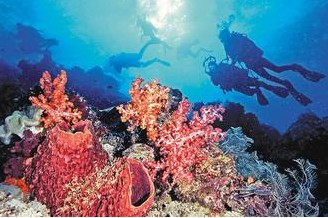 �������_�L�؄�����ɺ������ը�^һ�ӡ����D��