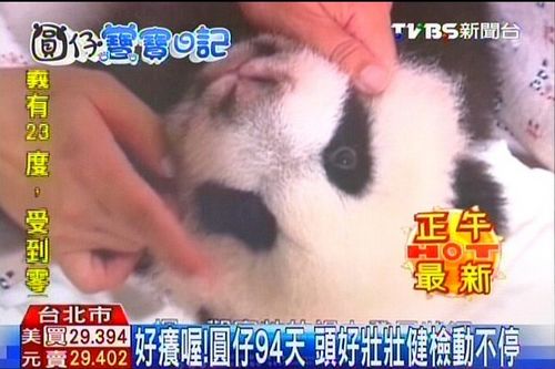 ٛ�_����؈�������w�z�°W���w�Ӂ��ȥ���ɐ�