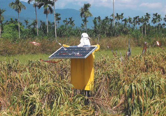 �����˱���Q������䡱ȫ��o���J���s�B