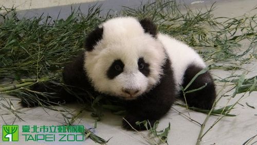 ٛ�_��؈ǧ���A��׃��С���಻���d�ͺߺ߽�