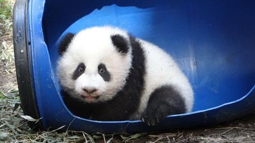 �_������؈�������A�С���߶���۝L�����D��