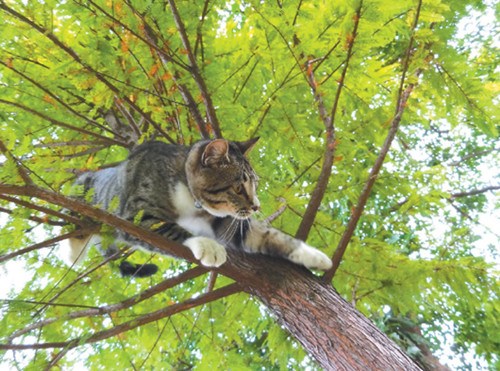 �_�����������䡰��ؔ؈���W��ٝ�ȷ����D��