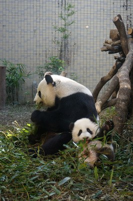 �����_������؈�������A�С��ĺ��ѡ�ˮ�����